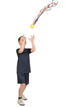 Ball - Pocoball