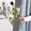 Chenilleblomster - Tulipaner, 5 stk