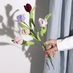 Chenilleblomster - Tulipaner, 5 stk