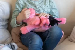 Familiebamse – Grisemor med grisunger