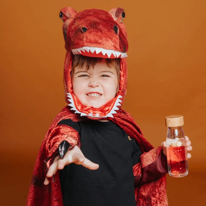 Fascinasjonsflaske - T-rex