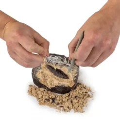 Grav ut dinosaur fossiler