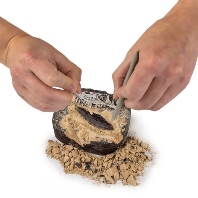 Grav ut dinosaur fossiler