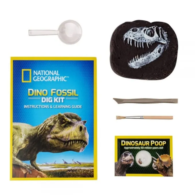 Grav ut dinosaur fossiler