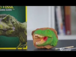 Grav ut dinosaur fossiler