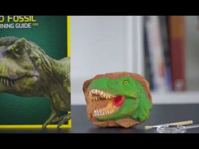 Grav ut dinosaur fossiler