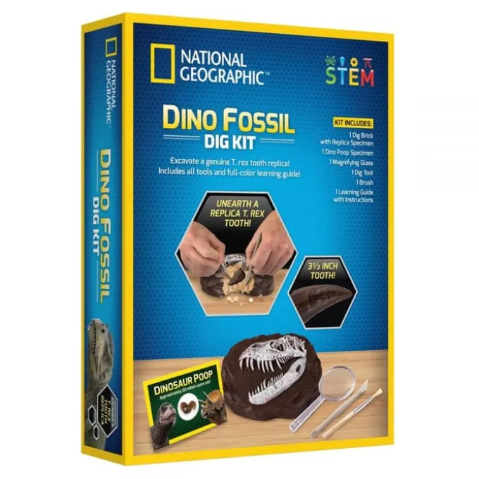 Grav ut dinosaur fossiler