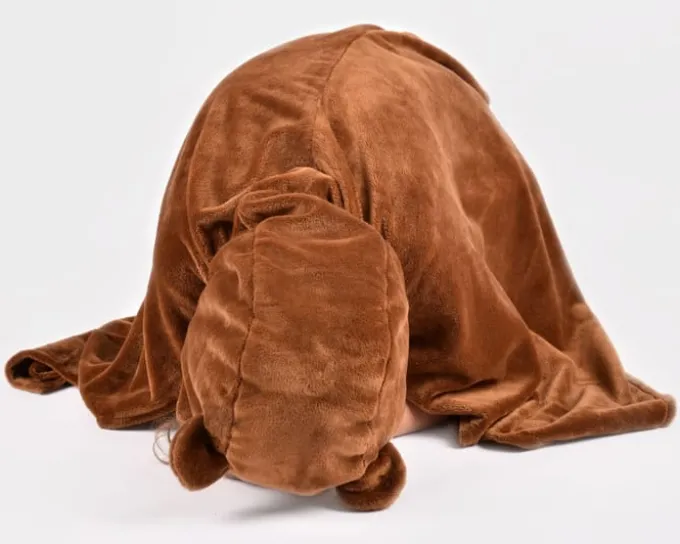 Kappe, bjørn