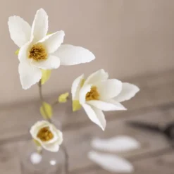 Kreppapir mini - Magnoliagren