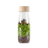 Oppdagelsesflaske - Jungel liv