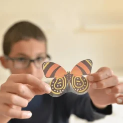 Oppdagelsesplakat med klistremerker - Insekter