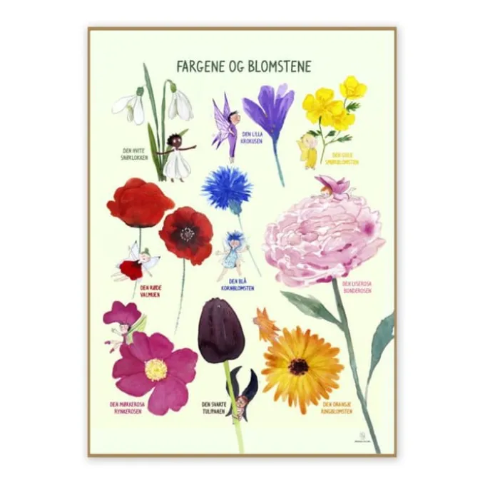 Plakat 50 x 70 cm - Fargene og blomstene
