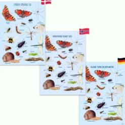 Plakat 50 x 70 cm - Smådyrene rundt deg