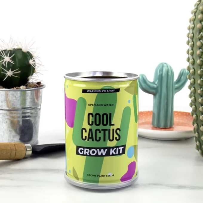 Plant selv sett - Kaktus