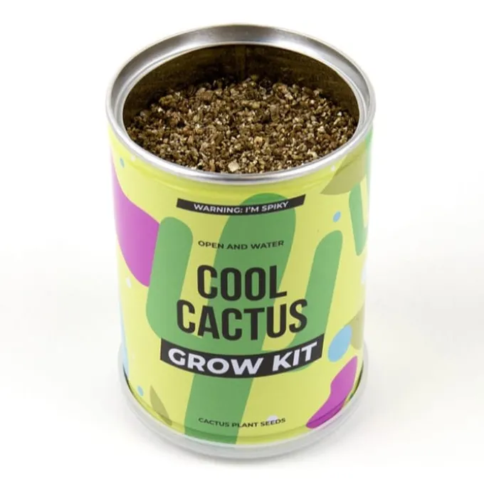 Plant selv sett - Kaktus