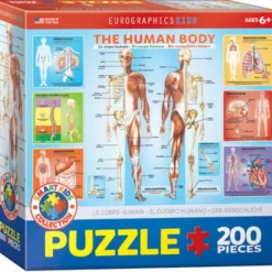 Puslespill - Kroppen, 200 brikker