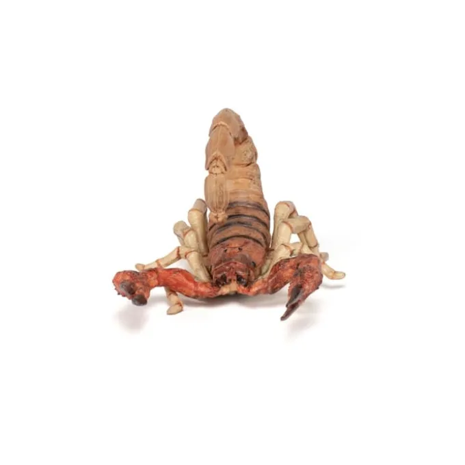 Skorpion - L: 10,5 cm